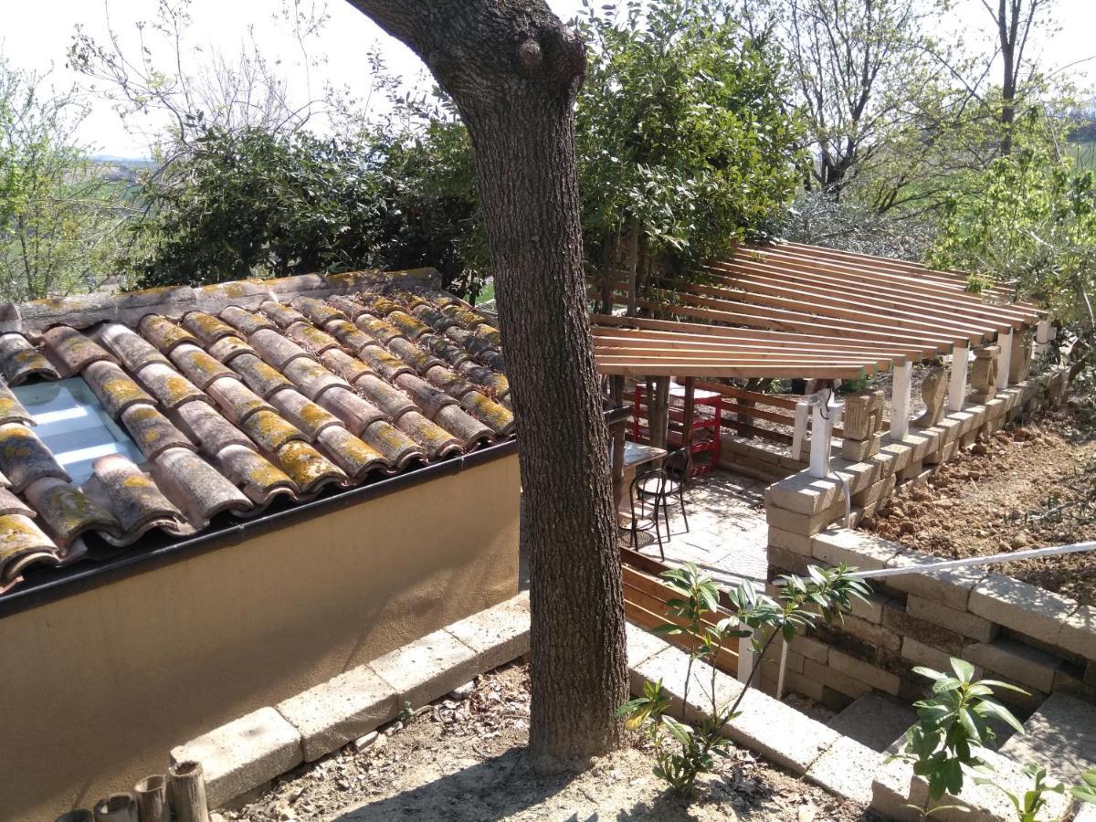 Barbagianni Villa Senigallia Dış mekan fotoğraf