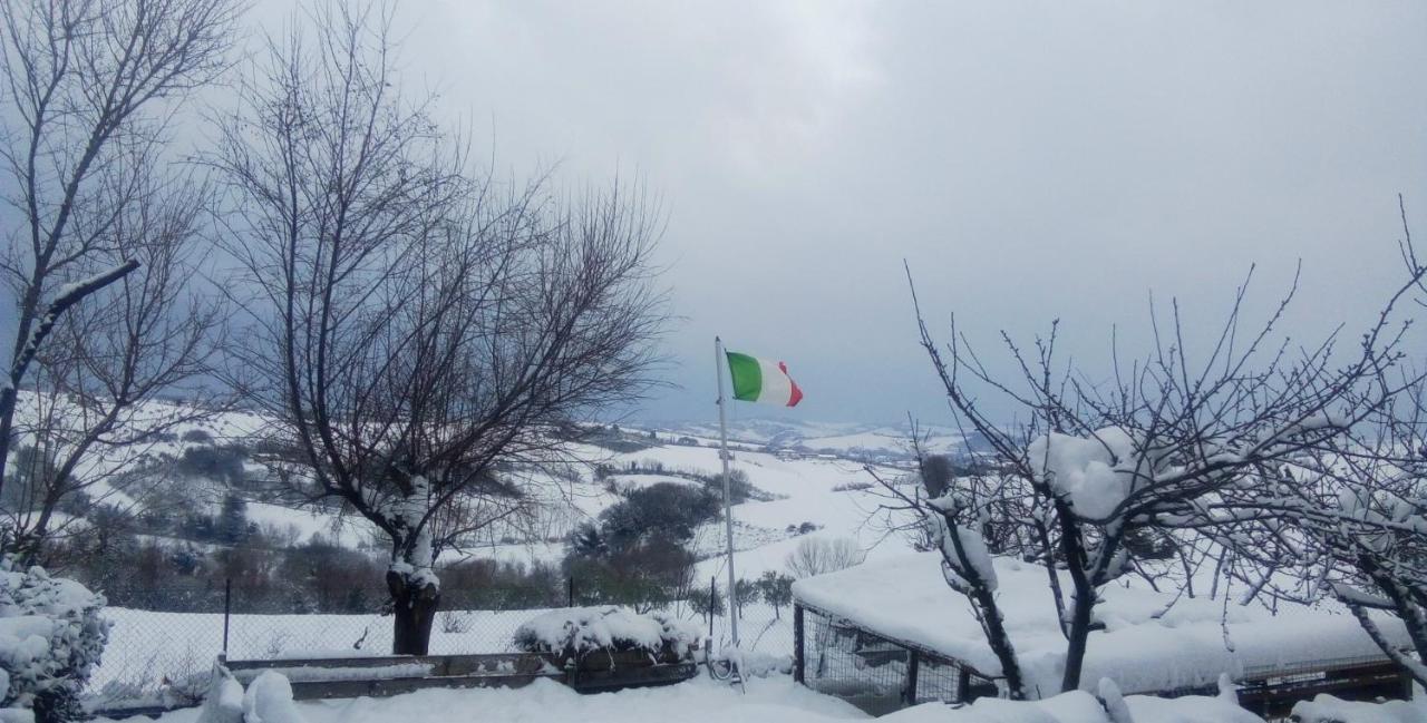 Barbagianni Villa Senigallia Dış mekan fotoğraf