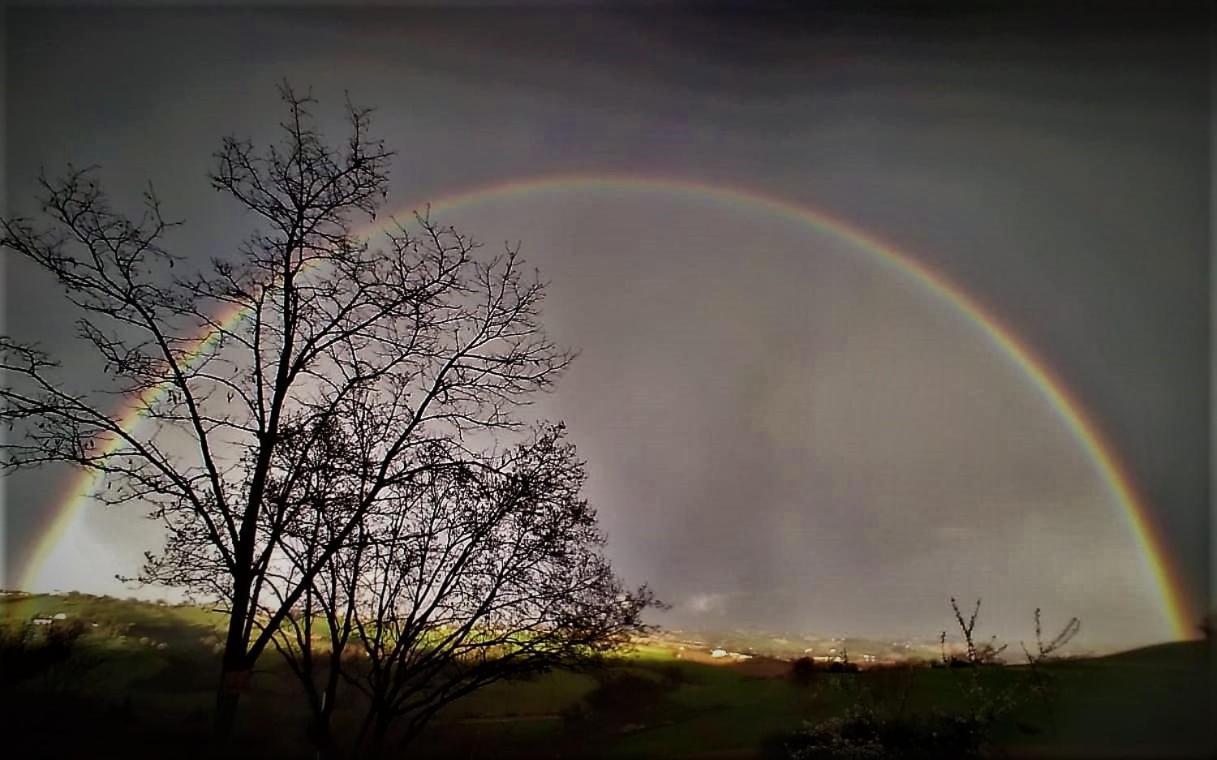 Barbagianni Villa Senigallia Dış mekan fotoğraf