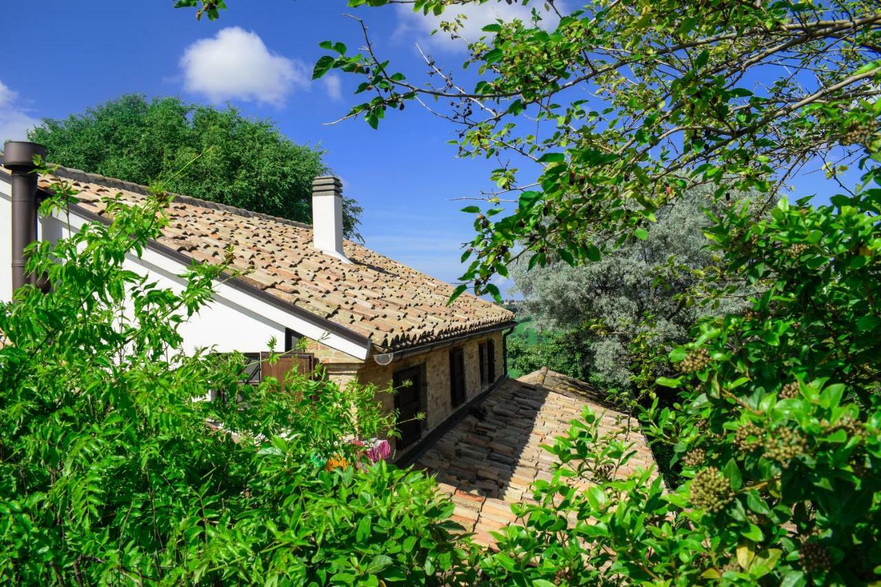 Barbagianni Villa Senigallia Dış mekan fotoğraf
