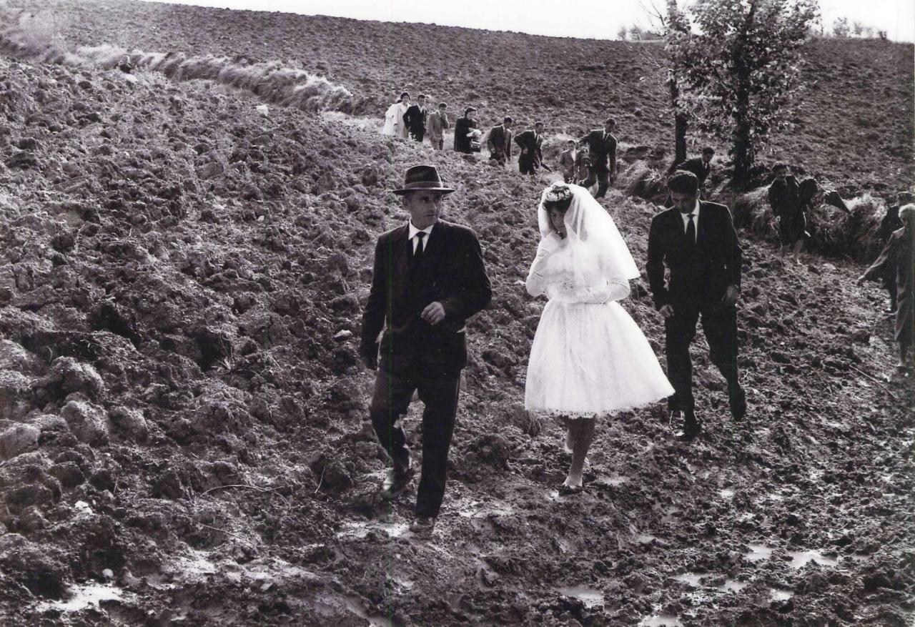 Barbagianni Villa Senigallia Dış mekan fotoğraf